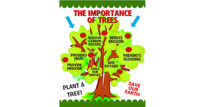 Dr. Arbor Talks Trees