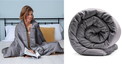 Sealy Weighted Blanket at Belk