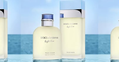 Dolce & Gabbana at Macy's