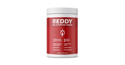 Reddy 4