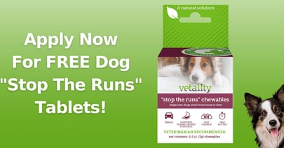 tevra pet anti diarrhea chewable tablets