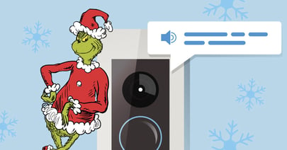 Ring Doorbell Grinch