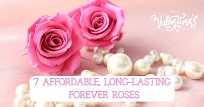 affordable long-lasting forever roses