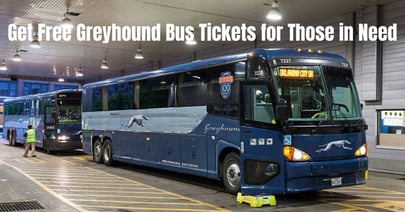 free greyhound bus tickets for homeless