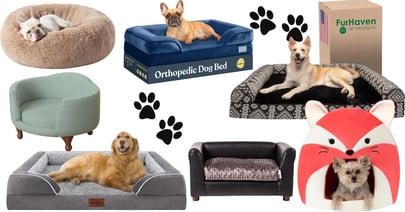 Dog Beds Amazon Black Friday