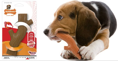 Nylabone on Amazon