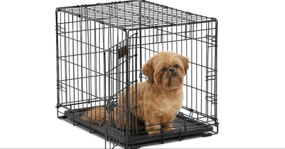 Dog Crate on Amazon