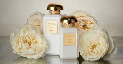 Aerin