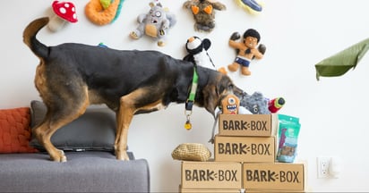 BarkBox