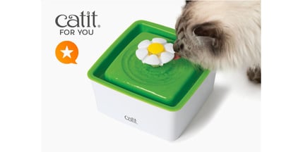 Catit