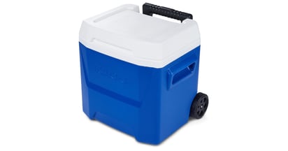 Igloo Coolerat Walmart