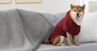 Koolaburra by UGG Pet Hoodie at Kohl's