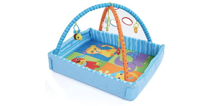 Bruin 2 in 1 Playgym on Amazon