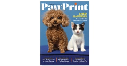 Paw Print Magazine