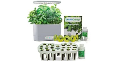 aerogarden at walmart