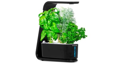 AeroGarden at Amazon