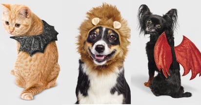 Pet Costumes at Target