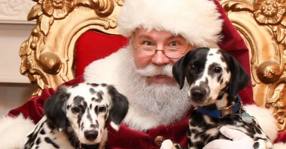 PetSmart Photo with Santa