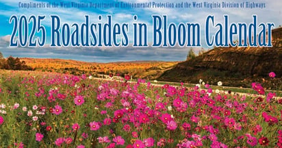 Roadsides in Bloom Calendar