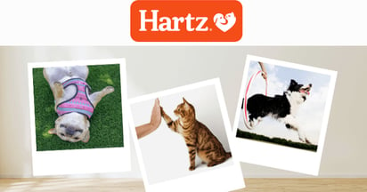 Hartz Ambassador