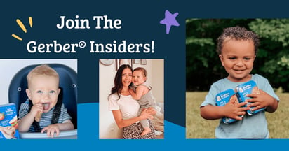 Gerber Insiders