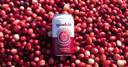 Spindrift Sparkling Water