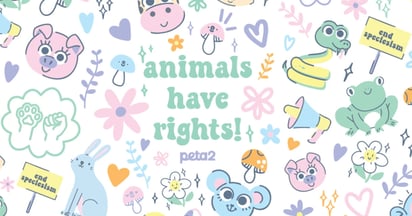 Peta Animal Rights Sticker Set