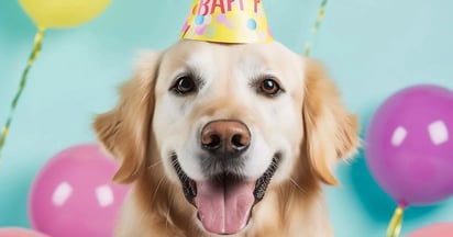 Pet-Friendly Free Birthday Stuff