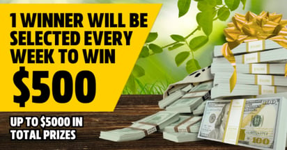 Al Capone Stash Of Cash Sweepstakes