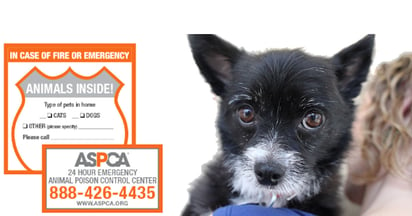 ASPCA Pet Safety Pack