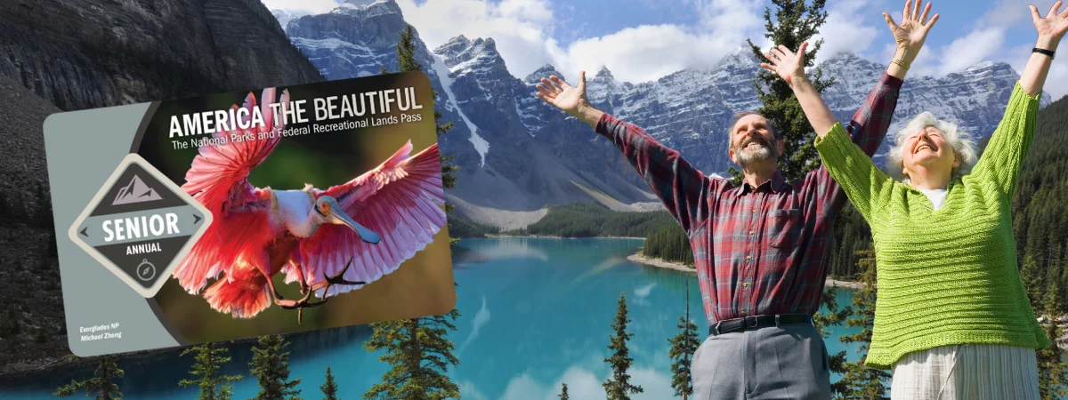 irthday Freebies and Free Stuff for Seniors