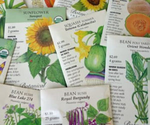 Free Pack of Bakker Flower or Vegetable Seeds - Free Samples