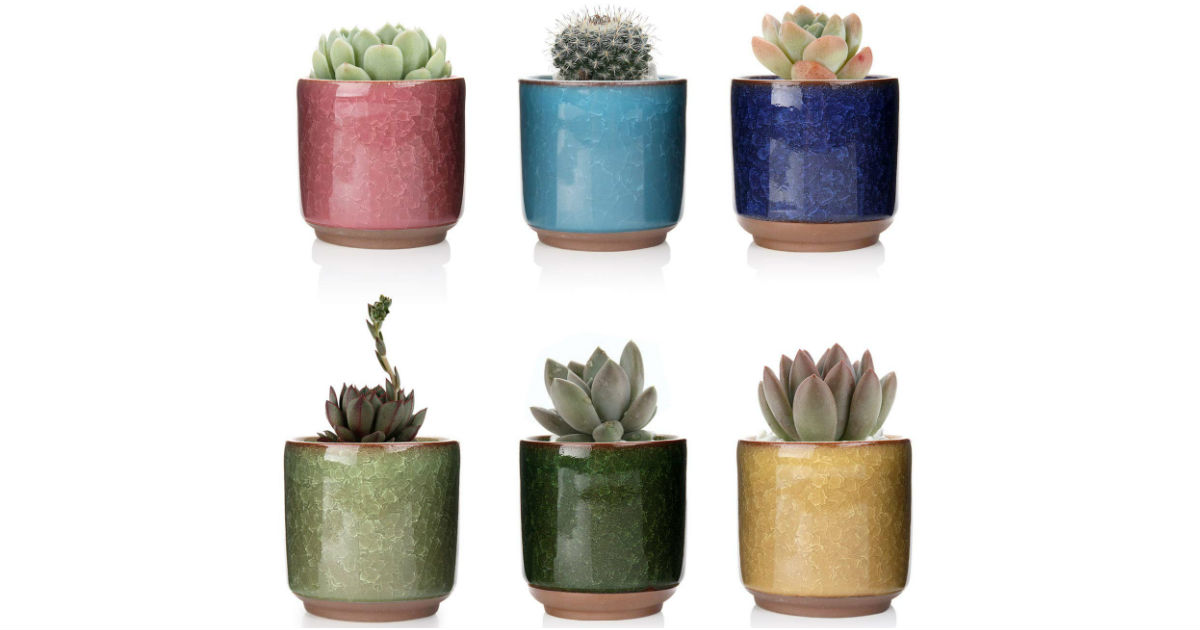 Ceramic Plant Pots 6-Pack ONLY $6.29 (Reg $14)