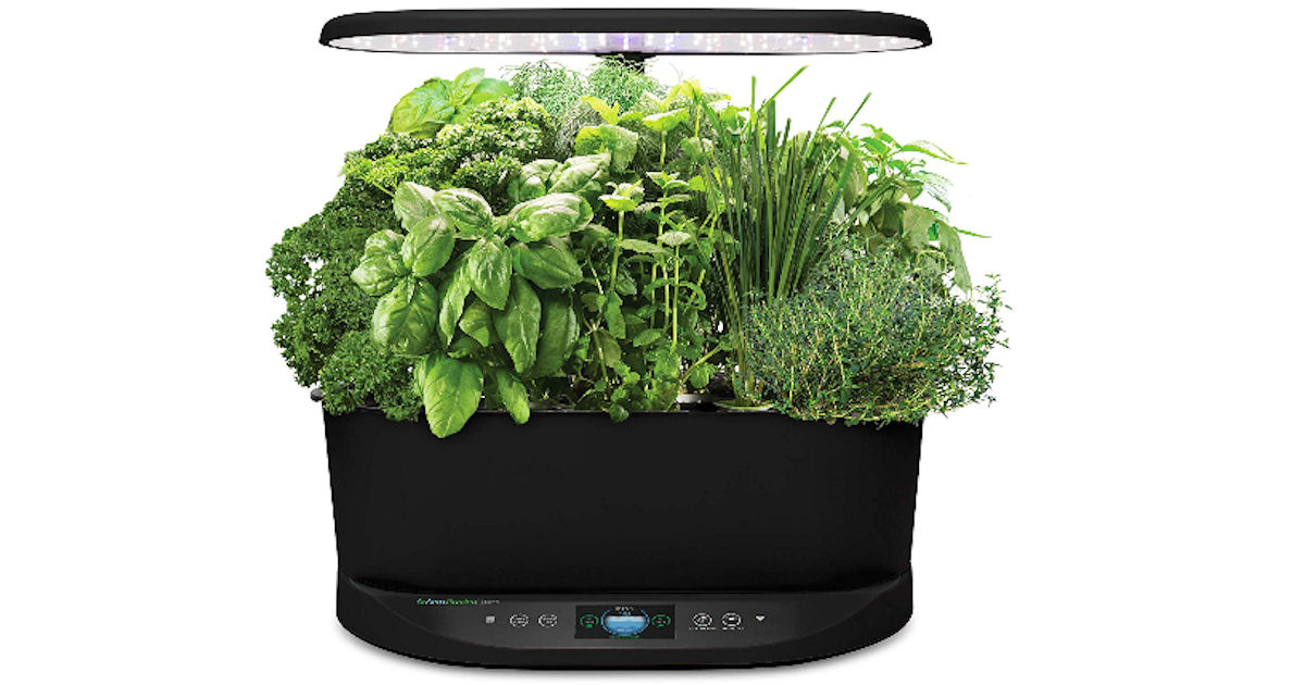 Aerogarden