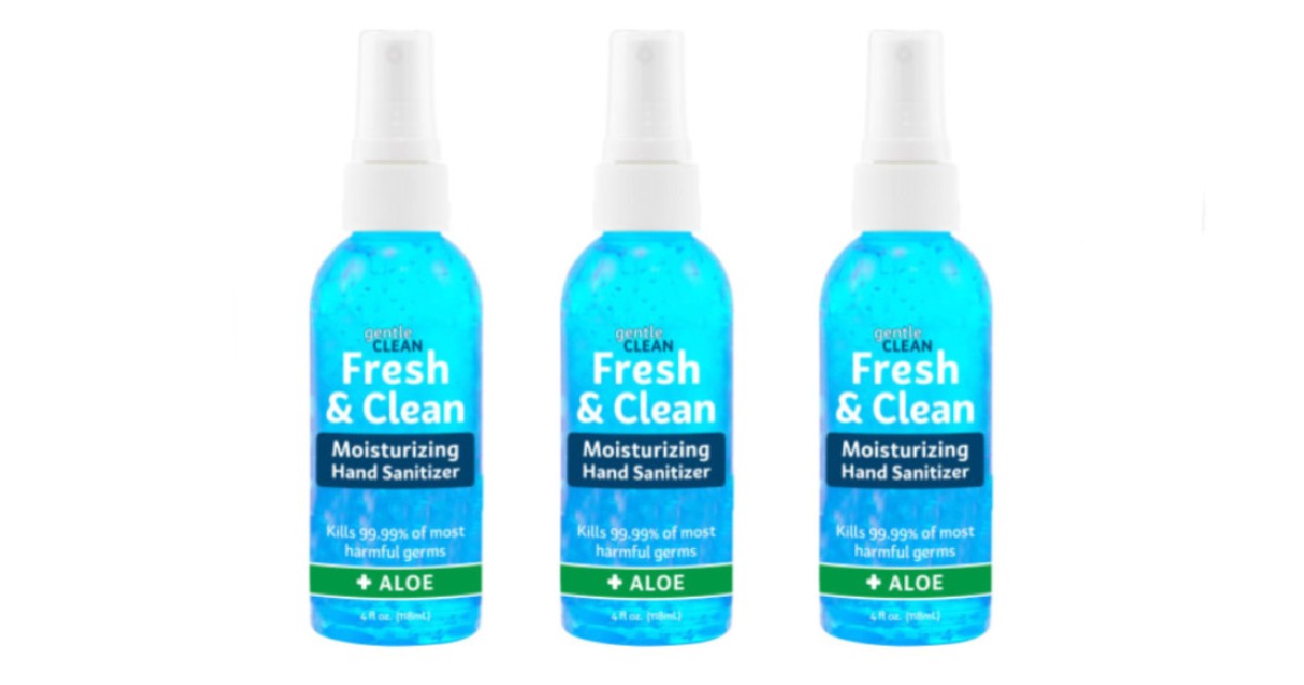 Fresh ‘n Clean Moisturizing Hand Sanitizer Only $1.94 Shipped - Daily ...