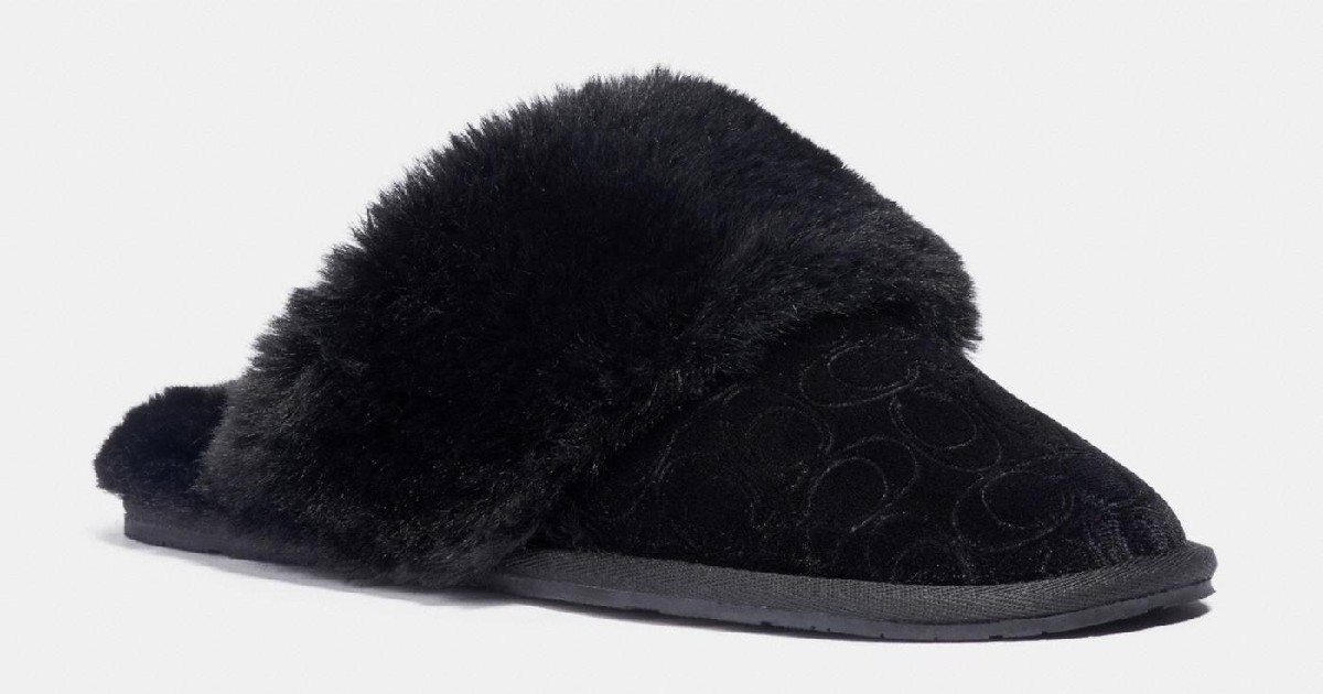 coach slippers mens