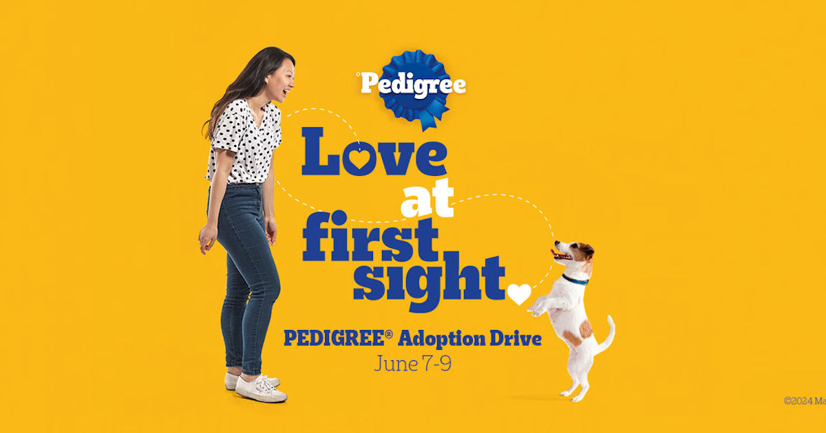 Pedigree Adoption Drive