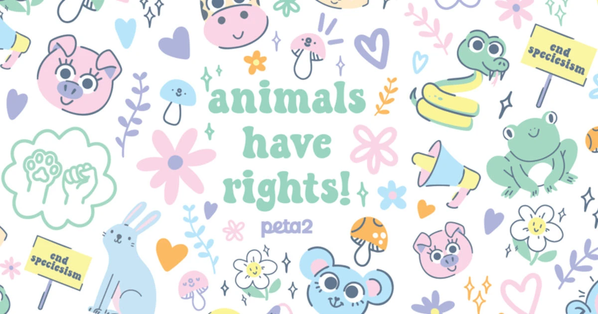 Peta Animal Rights Sticker Set