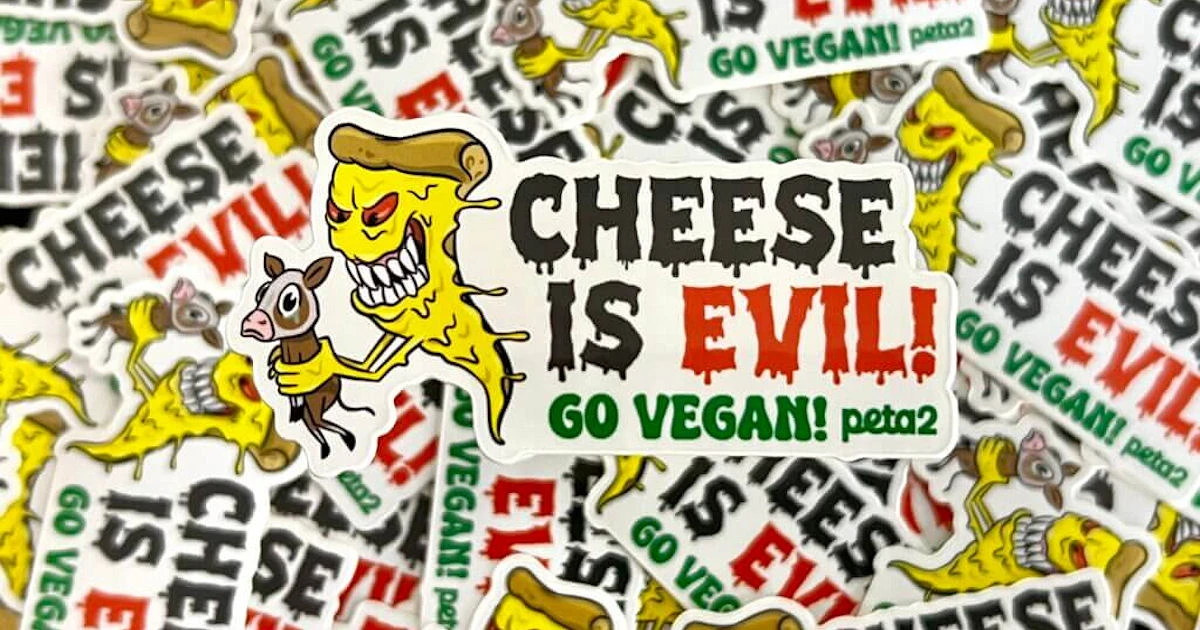 Peta Cheese is Evil Sticker