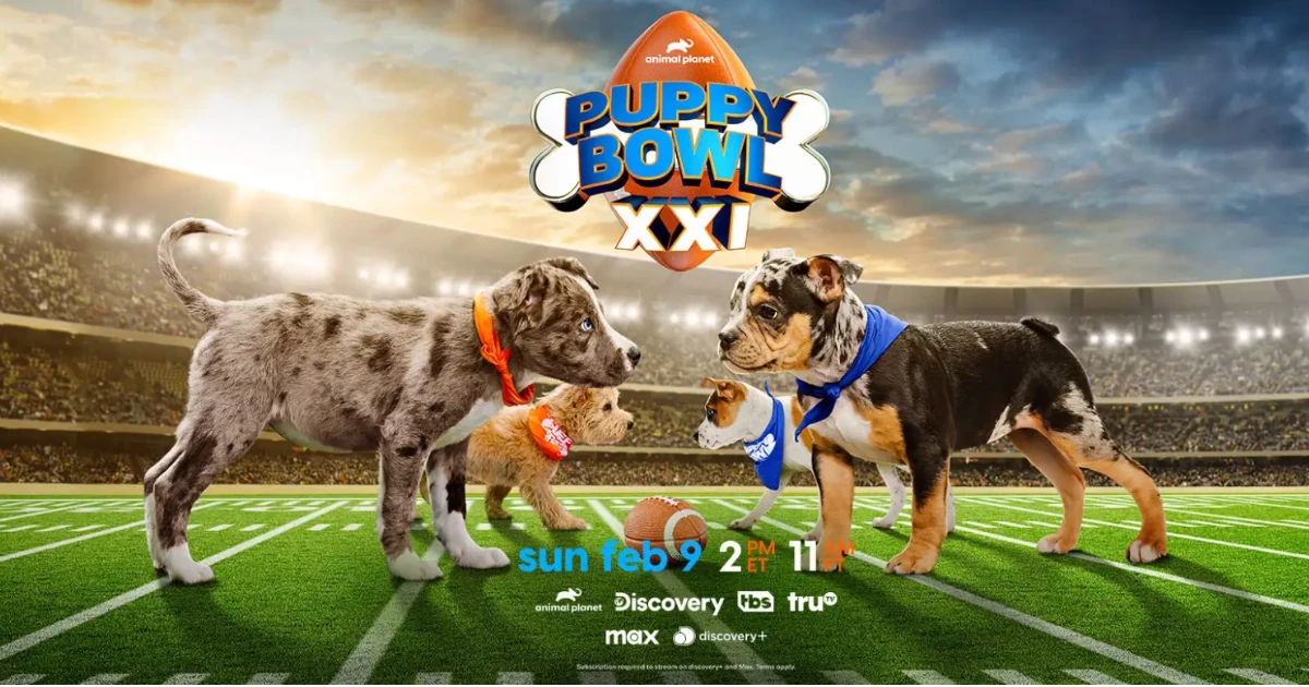 Valpak Puppy Bowl Sweepstakes