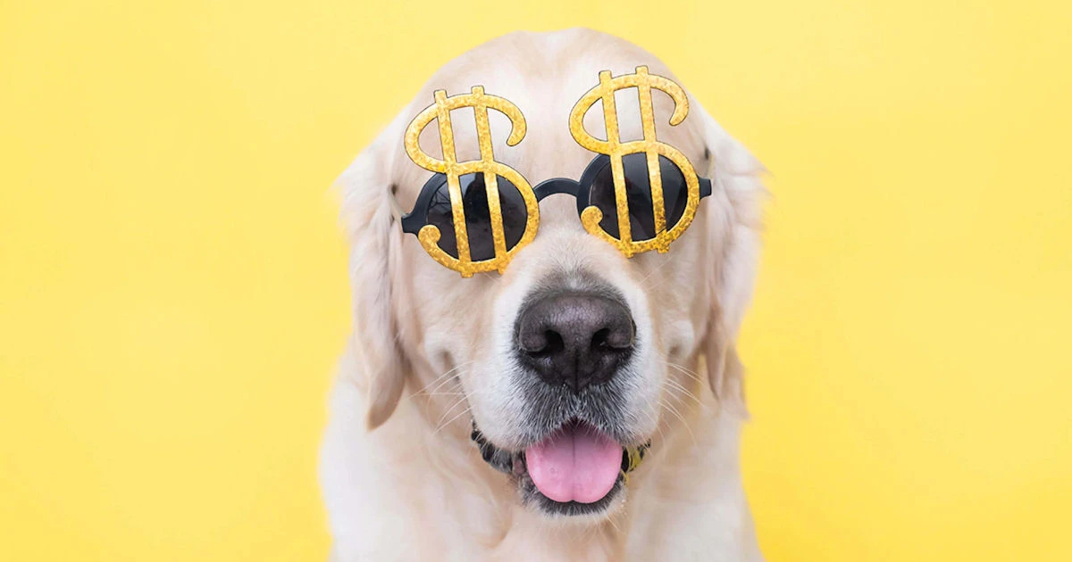 Daily Paws Unleash the Loot $50,000 Sweepstakes