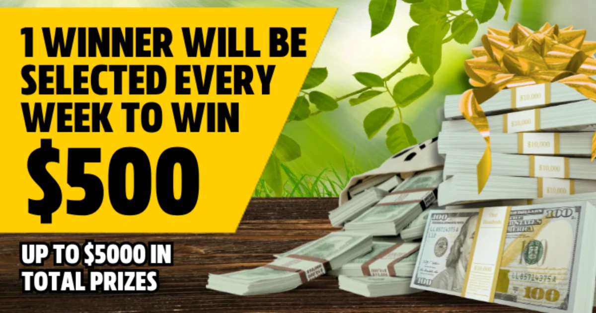 Al Capone Stash Of Cash Sweepstakes