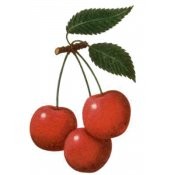 Cherry Recipe eBook from Traverse Bay Farms