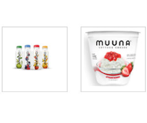 Free Chobani Drink Muuna Cottage Cheese For Price Chopper Free